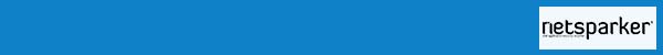 netsparker