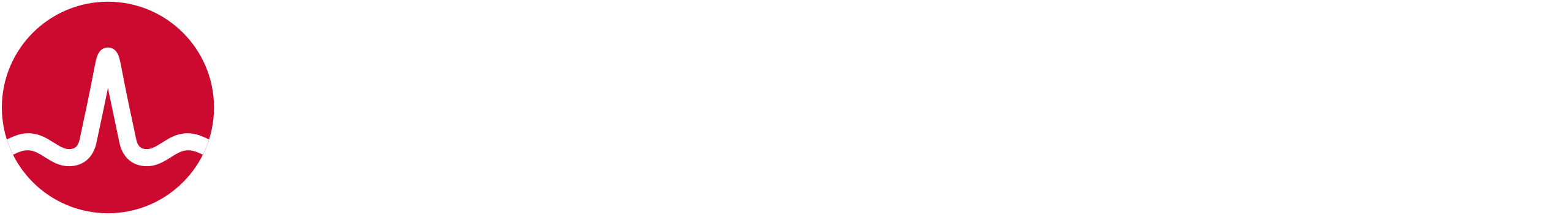 Broadcom white logo Broadcom white logo