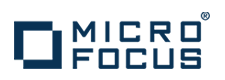 MicroFocus