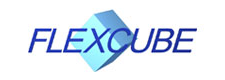 flexcube flexcube
