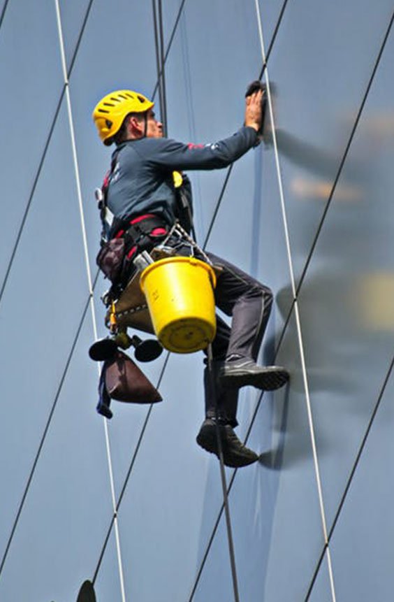 Multi-billion dollar Insurance Services provider in the US