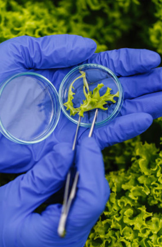 Cigniti derived test strategy for backward compatibility testing for leading global biotech company.